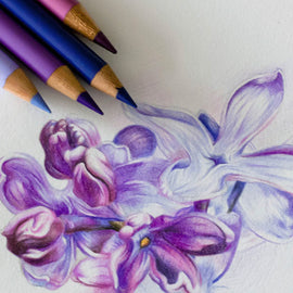 Faber-Castell - Polychromos Artist Colored Pencil II