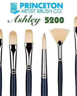 Princeton - Ashley Natural Bristle - Series 5200