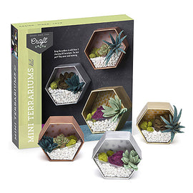 Ann Williams - Craft Crush Mini Terrariums Kit